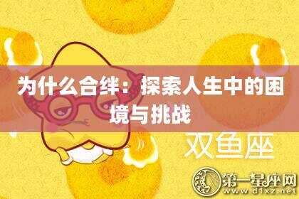 为什么合绊：探索人生中的困境与挑战