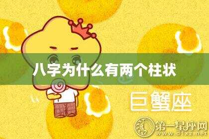 八字为什么有两个柱状