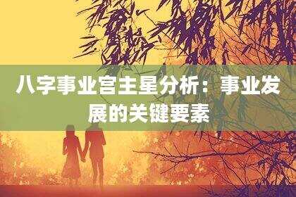 八字事业宫主星分析：事业发展的关键要素