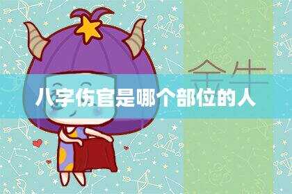 八字伤官是哪个部位的人