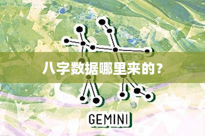 八字数据哪里来的？