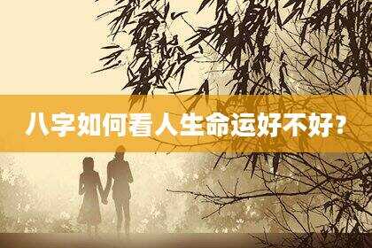八字如何看人生命运好不好？