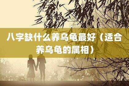 八字缺什么养乌龟最好（适合养乌龟的属相）