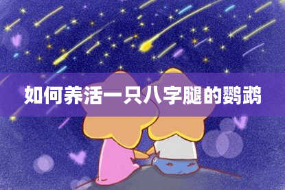 如何养活一只八字腿的鹦鹉