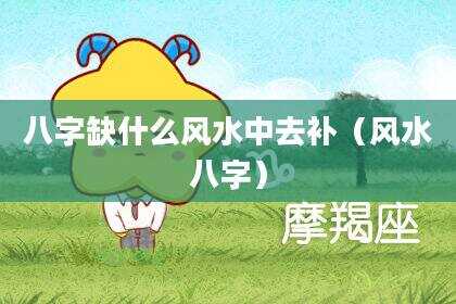八字缺什么风水中去补（风水八字）