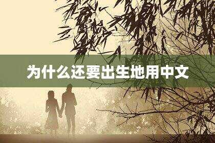 为什么还要出生地用中文