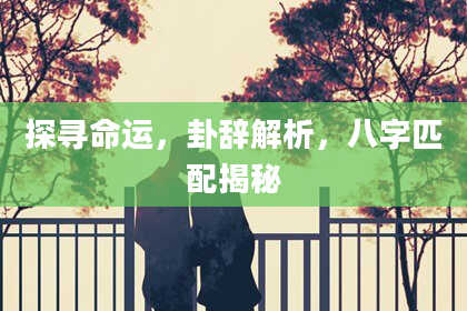 探寻命运，卦辞解析，八字匹配揭秘