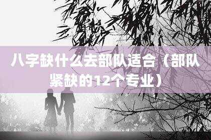 八字缺什么去部队适合（部队紧缺的12个专业）