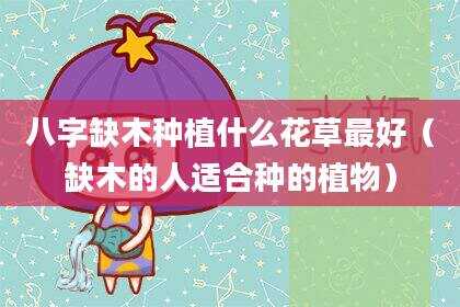 八字缺木种植什么花草最好（缺木的人适合种的植物）