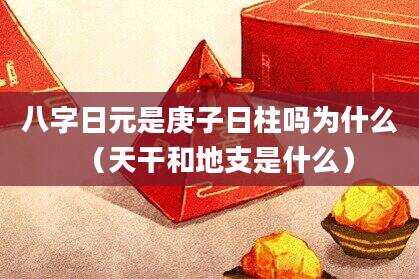 八字日元是庚子日柱吗为什么（天干和地支是什么）