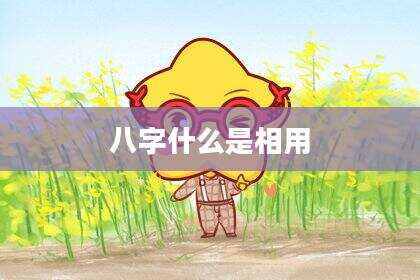 八字什么是相用