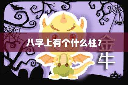 八字上有个什么柱？
