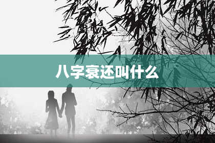 八字衰还叫什么