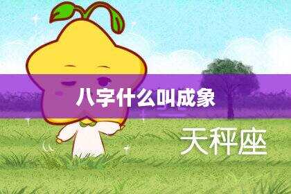 八字什么叫成象