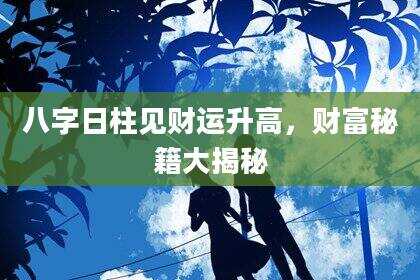 八字日柱见财运升高，财富秘籍大揭秘