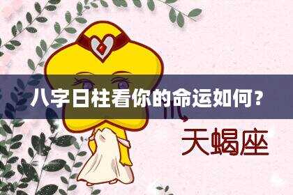 八字日柱看你的命运如何？