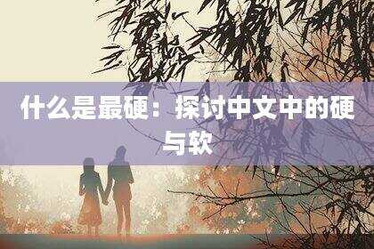 什么是最硬：探讨中文中的硬与软