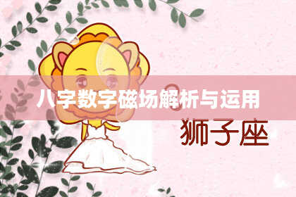 八字数字磁场解析与运用