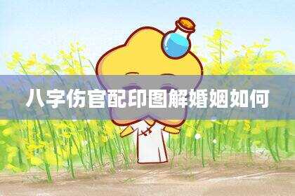 八字伤官配印图解婚姻如何