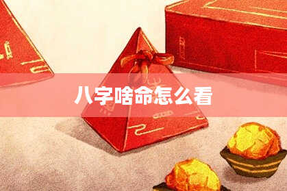 八字啥命怎么看