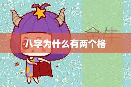 八字为什么有两个格