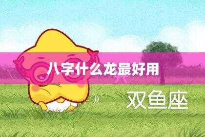 八字什么龙最好用