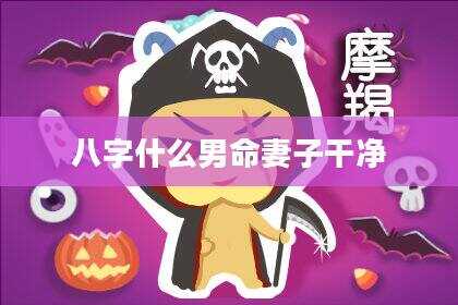 八字什么男命妻子干净