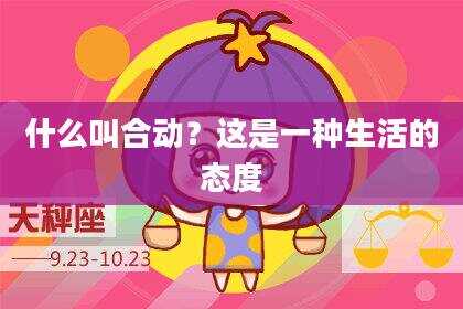 什么叫合动？这是一种生活的态度