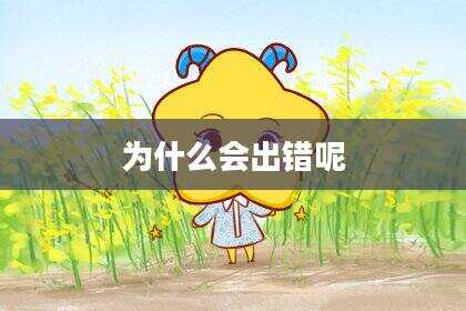 为什么会出错呢
