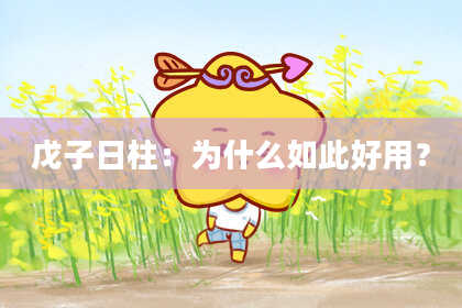 戊子日柱：为什么如此好用？