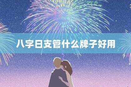 八字日支管什么牌子好用