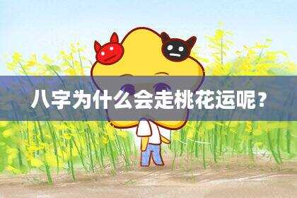 八字为什么会走桃花运呢？