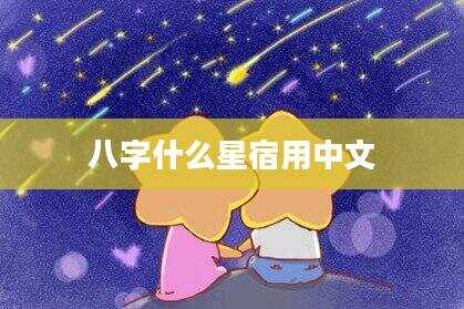 八字什么星宿用中文