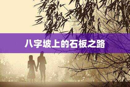 八字坡上的石板之路