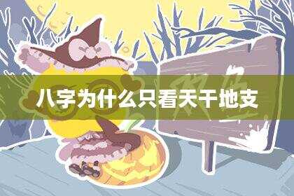 八字为什么只看天干地支