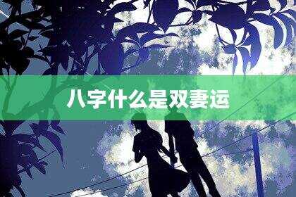 八字什么是双妻运