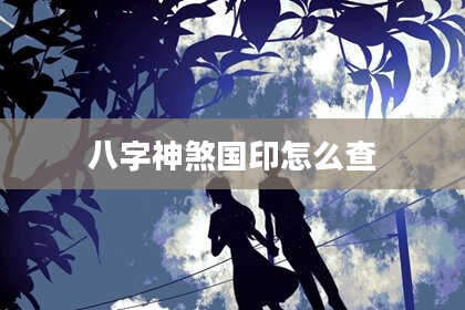 八字神煞国印怎么查