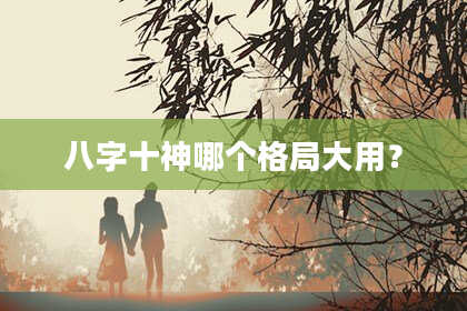 八字十神哪个格局大用？
