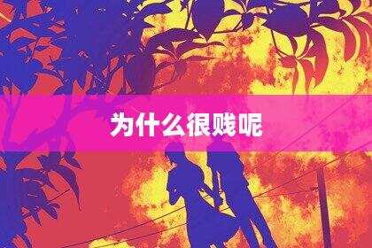 为什么很贱呢