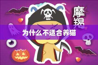 为什么不适合养猫