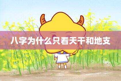 八字为什么只看天干和地支