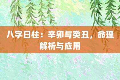 八字日柱：辛卯与癸丑，命理解析与应用