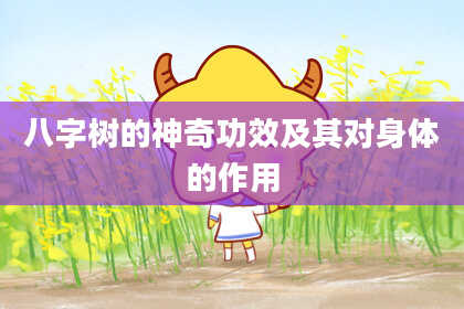 八字树的神奇功效及其对身体的作用