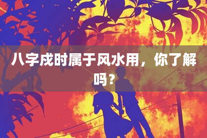 八字戍时属于风水用，你了解吗？