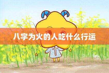 八字为火的人吃什么行运