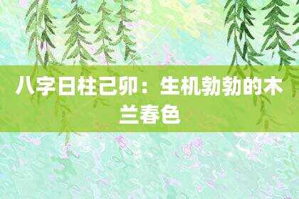 八字日柱己卯：生机勃勃的木兰春色