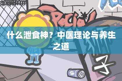 什么泄食神？中医理论与养生之道