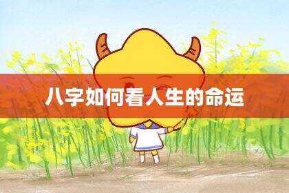 八字如何看人生的命运
