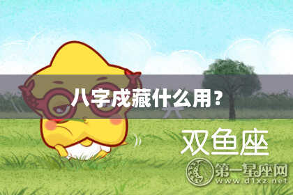 八字戍藏什么用？