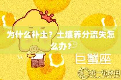 为什么补土？土壤养分流失怎么办？
